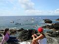 DSC00781