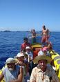 Formigas05_09_2009